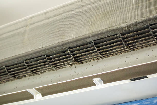 Best Home Air Vent Cleaning  in Summerfield, MD